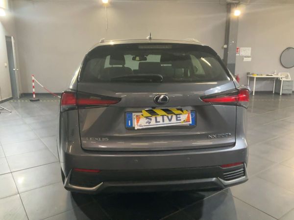 car Lexus NX Series id12607 photo #3