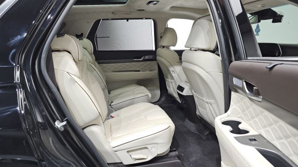 car Hyundai Palisade id12733 photo #10
