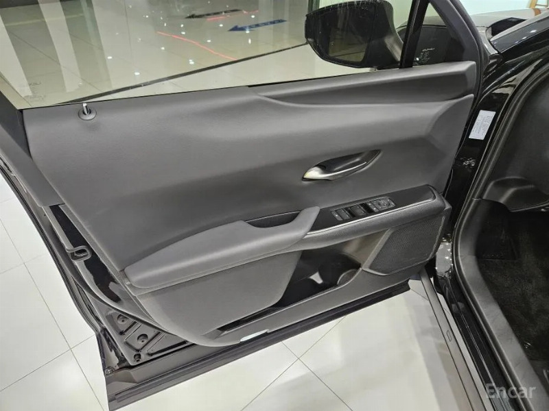 car Lexus UX id169683 photo #14