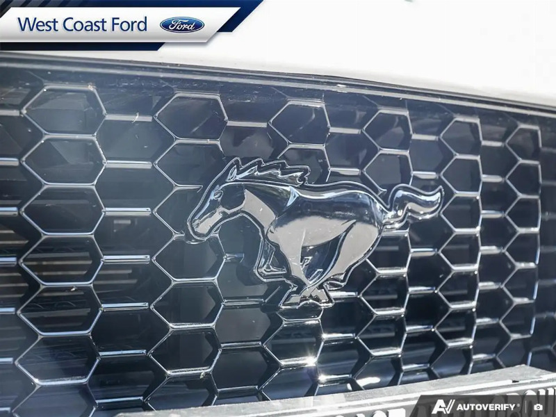 car Ford Mustang id198575 photo #9