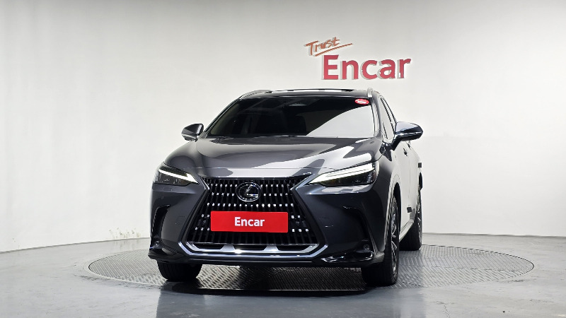 car Lexus NX Series id208103 photo #3
