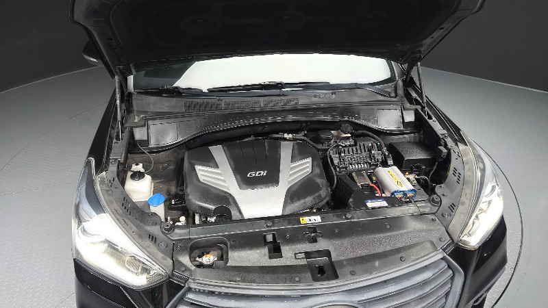 car Hyundai Maxcruz id225667 photo #6