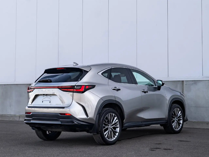 car Lexus NX Series id233093 photo #7