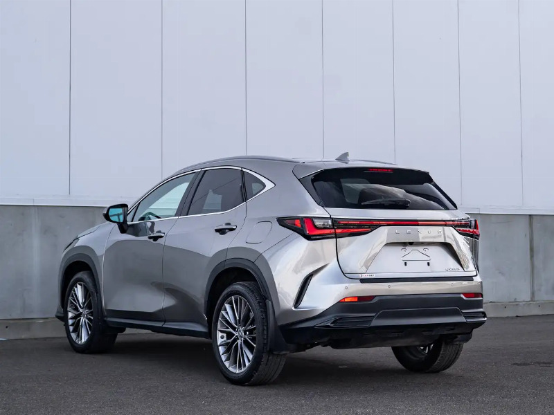 car Lexus NX Series id233093 photo #8