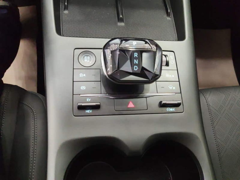 car Byd Qin Plus id236159 photo #14