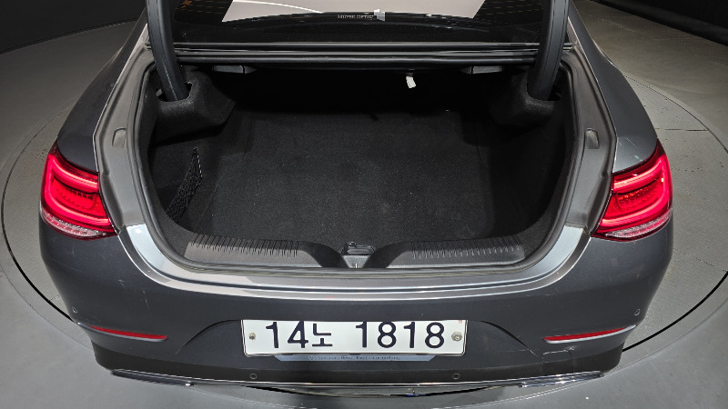 car Mercedes CLS-Class id236592 photo #27