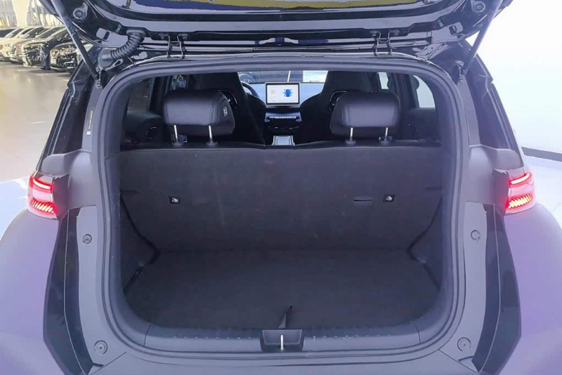 car Byd Seagull id241768 photo #4