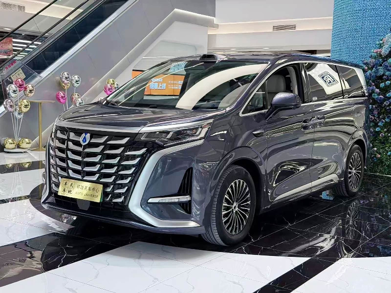 car Denza D9 id246413 main photo