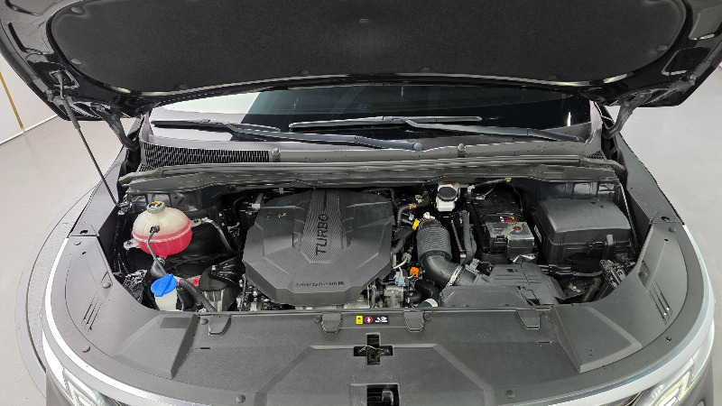 car KIA Carnival id253423 photo #6