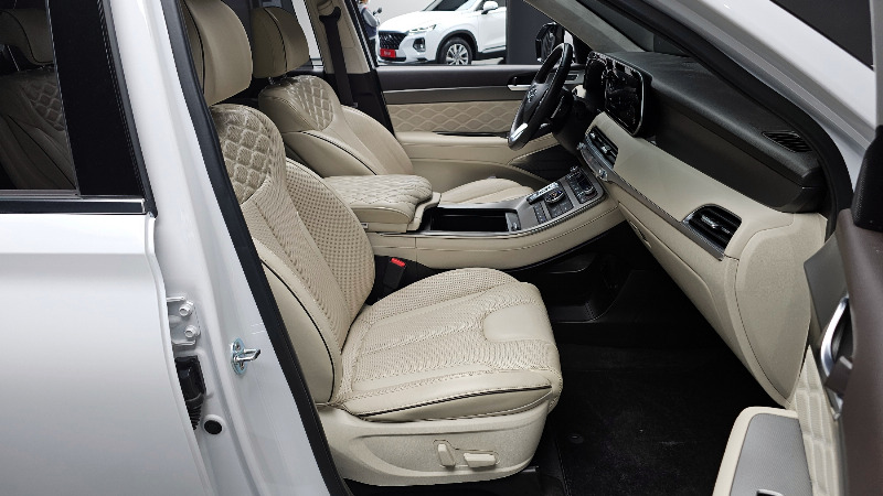 car Hyundai Palisade id256048 photo #10