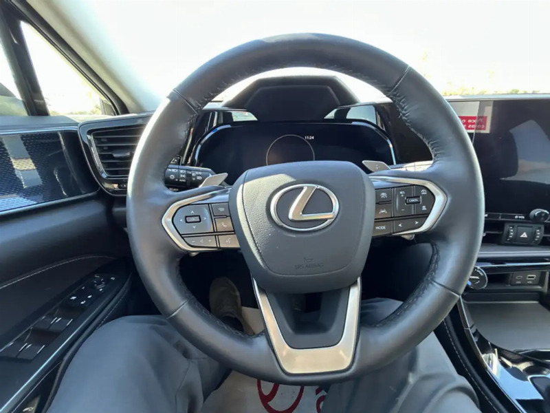 car Lexus NX Series id257429 photo #11