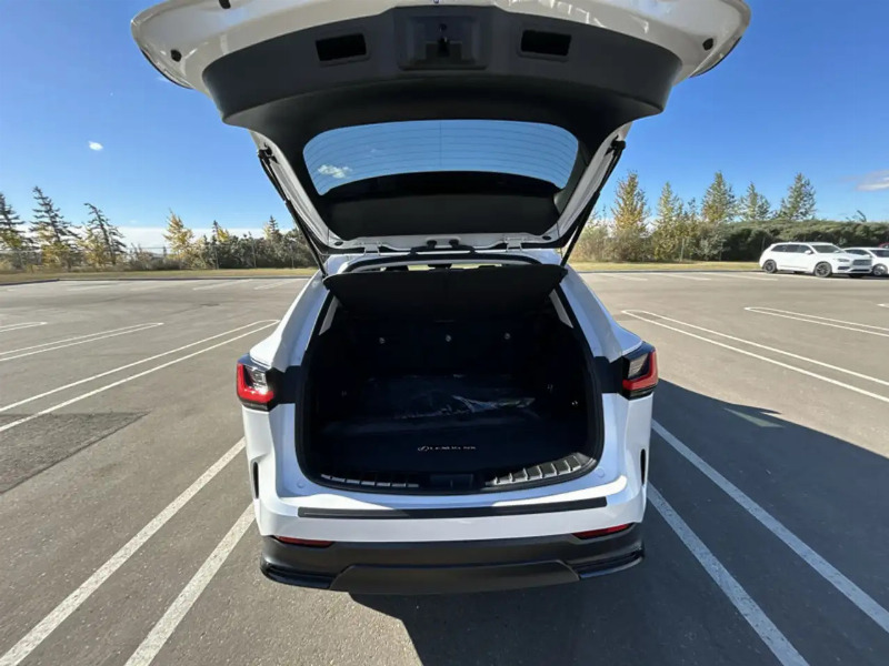 car Lexus NX Series id257429 photo #19