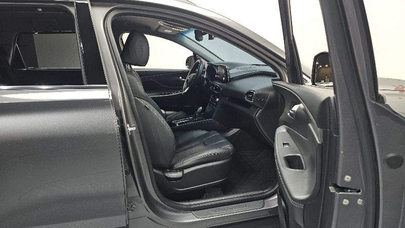 car Hyundai Santa FE id259849 photo #11