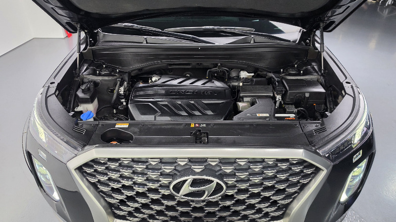 car Hyundai Palisade id260740 photo #6