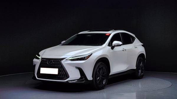 car Lexus NX Series id15429 main photo