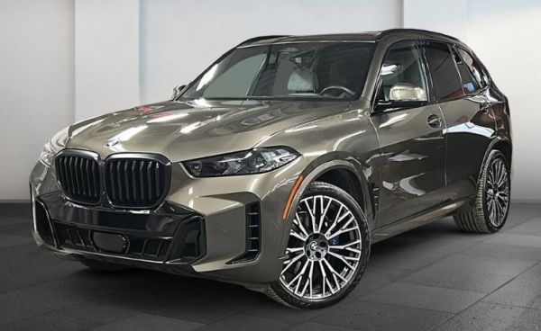 car BMW X5 id13639 main photo
