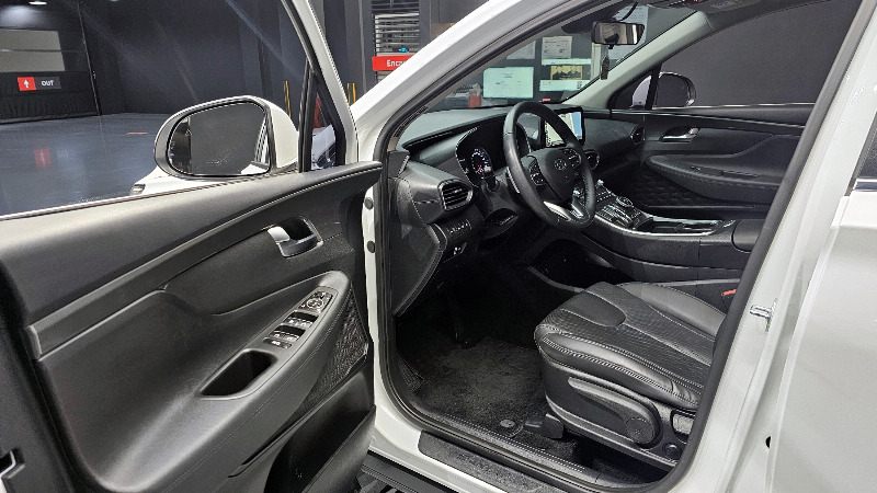 car Hyundai Santa FE id264235 photo #11