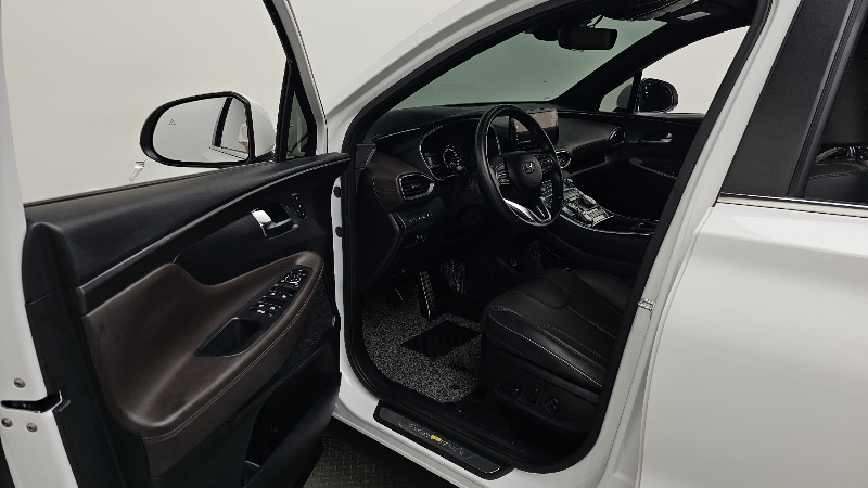 car Hyundai Santa FE id264888 photo #10