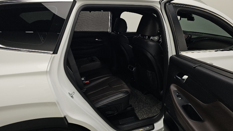 car Hyundai Santa FE id264888 photo #12