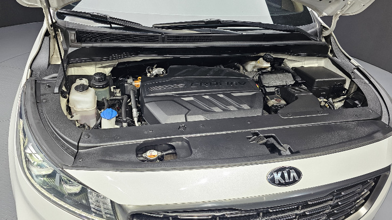 car KIA Carnival id273506 photo #6