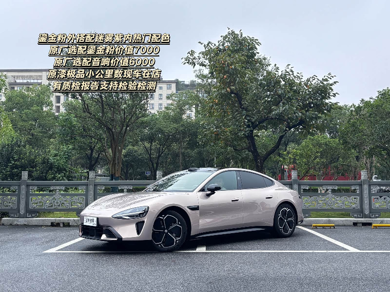 car Xiaomi SU7 id273698 main photo