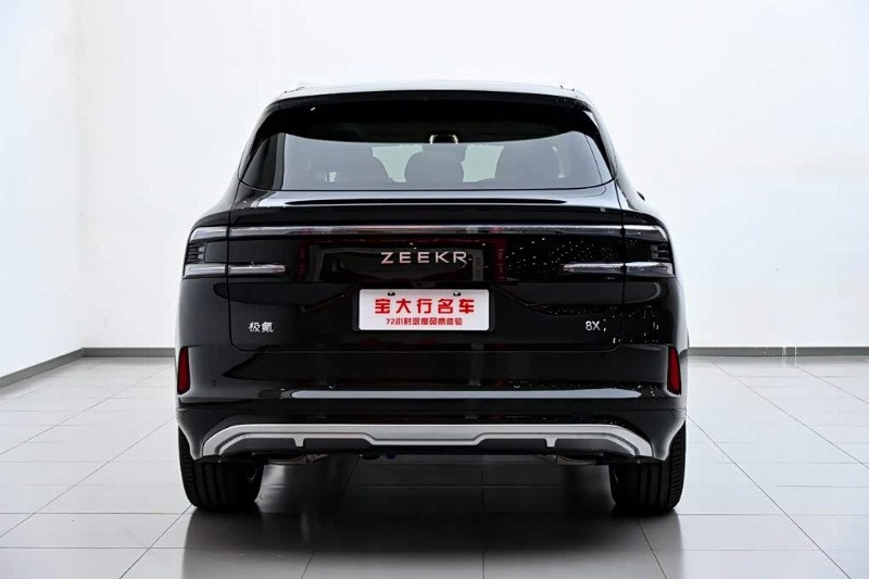car Zeekr 8X id273947 photo #8