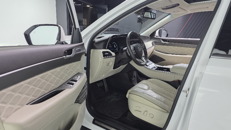 car Hyundai Palisade id278535 photo #10