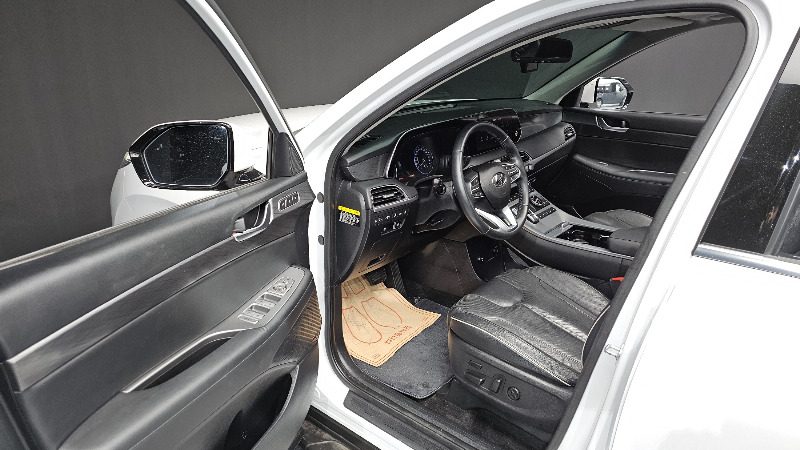 car Hyundai Palisade id279887 photo #10