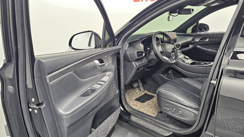 car Hyundai Santa FE id281579 photo #10