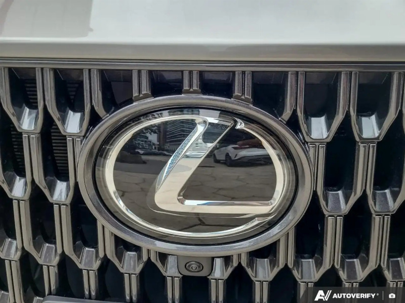 car Lexus NX Series id282226 photo #10