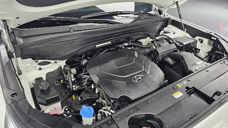 car Hyundai Palisade id282727 photo #6