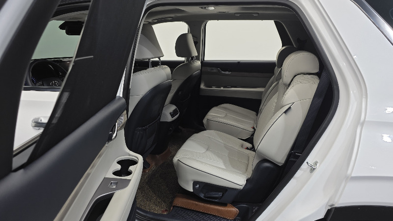 car Hyundai Palisade id282887 photo #12