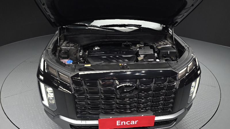 car Hyundai Palisade id283774 photo #6