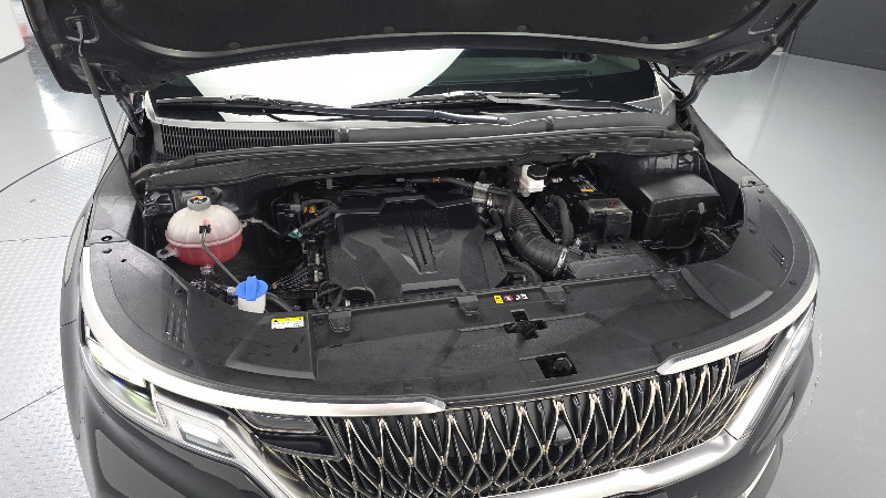 car KIA Carnival id289716 photo #6