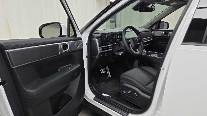 car Hyundai Santa FE id295196 photo #10