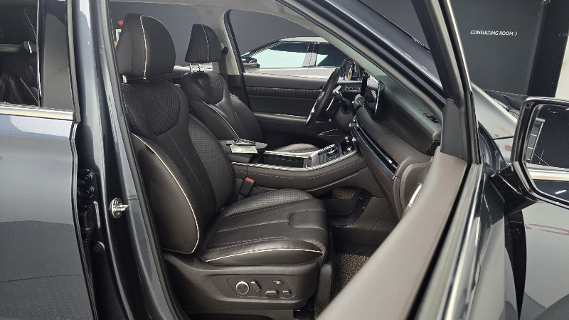car Hyundai Palisade id295982 photo #10