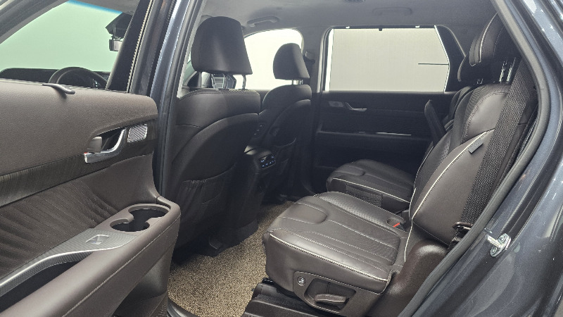 car Hyundai Palisade id295982 photo #12