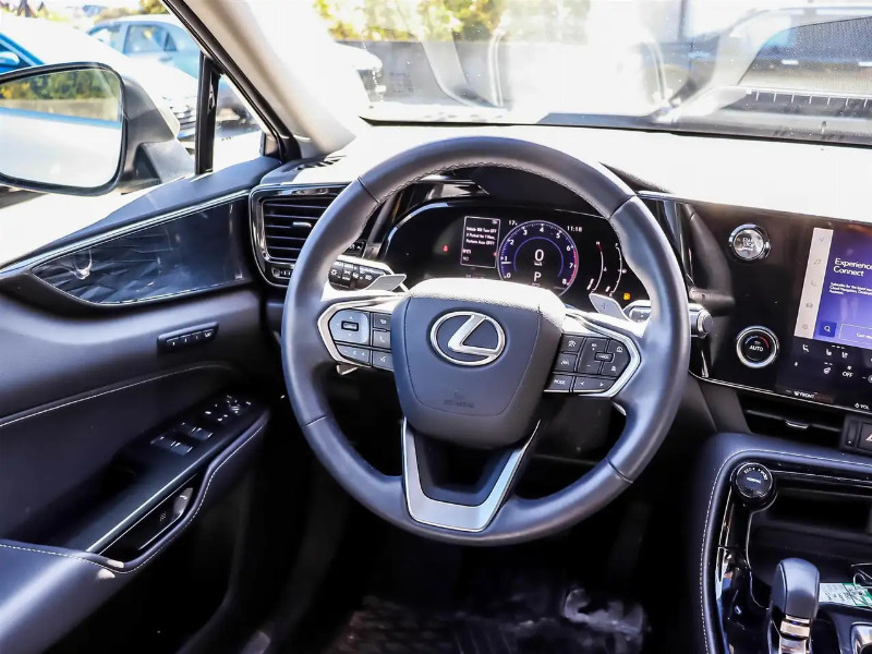 car Lexus NX Series id296219 photo #10