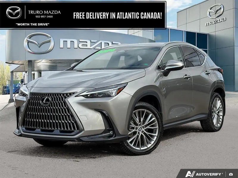 car Lexus NX Series id299990 main photo