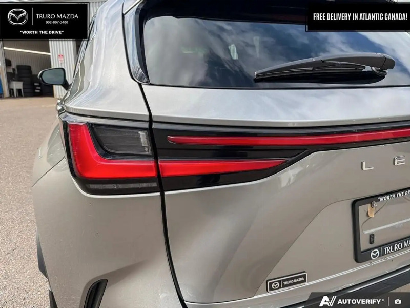 car Lexus NX Series id299990 photo #11