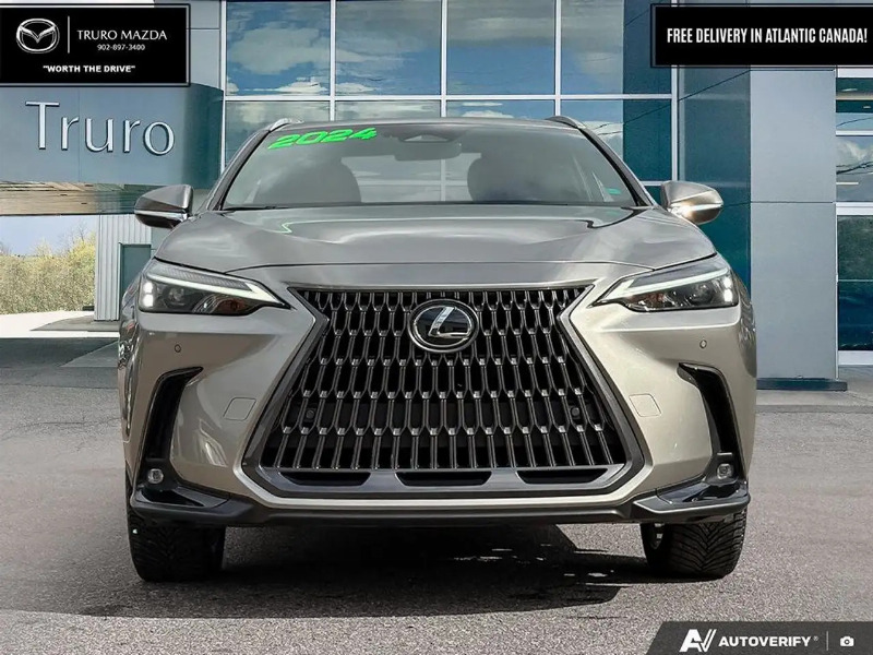 car Lexus NX Series id299990 photo #2