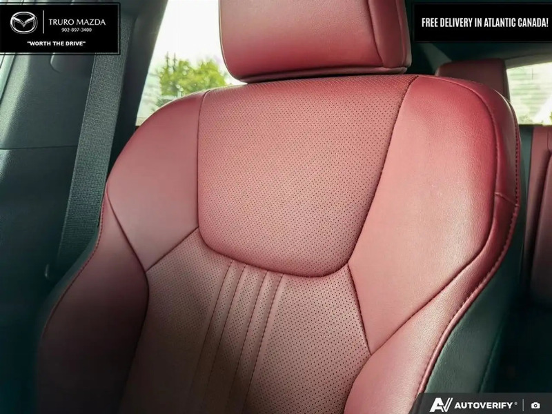 car Lexus NX Series id299990 photo #20