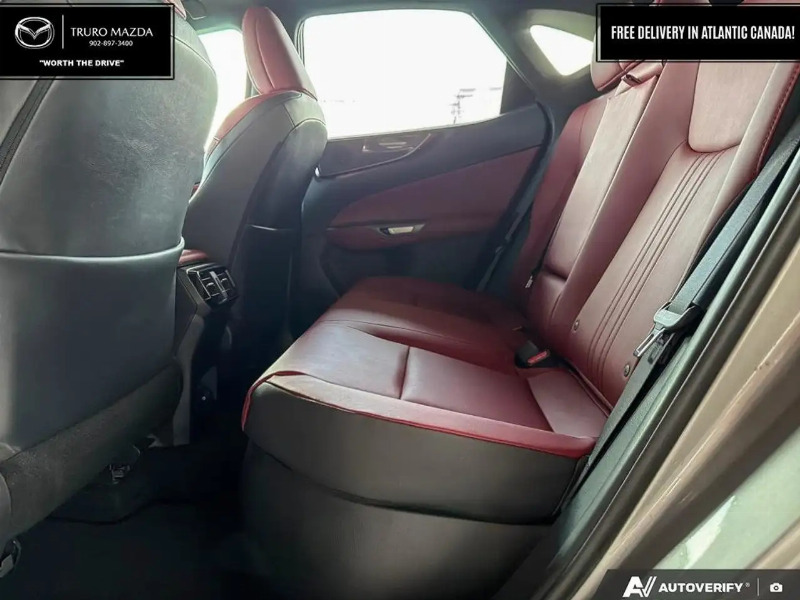 car Lexus NX Series id299990 photo #23