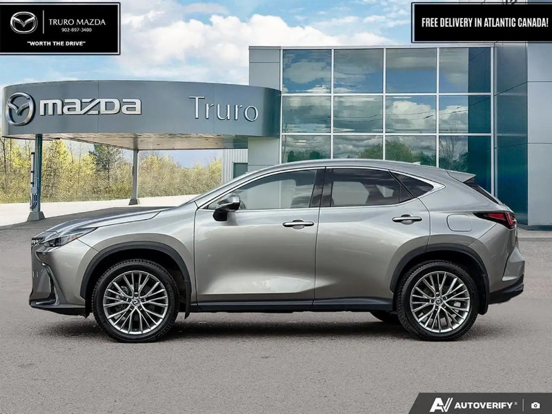 car Lexus NX Series id299990 photo #3