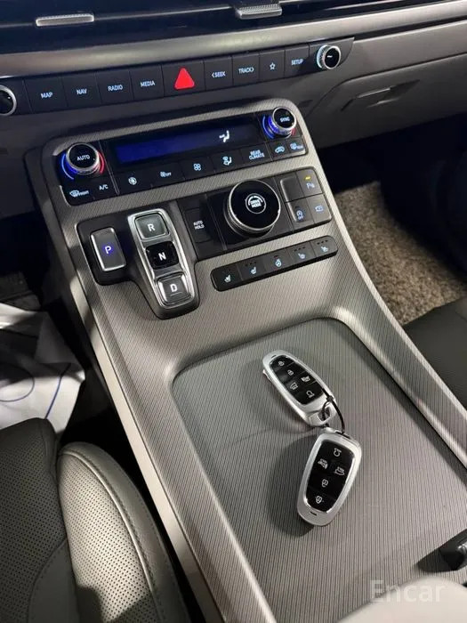 car Hyundai Palisade id303176 photo #9
