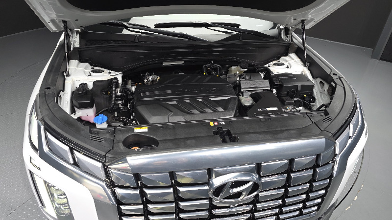 car Hyundai Palisade id306016 photo #6