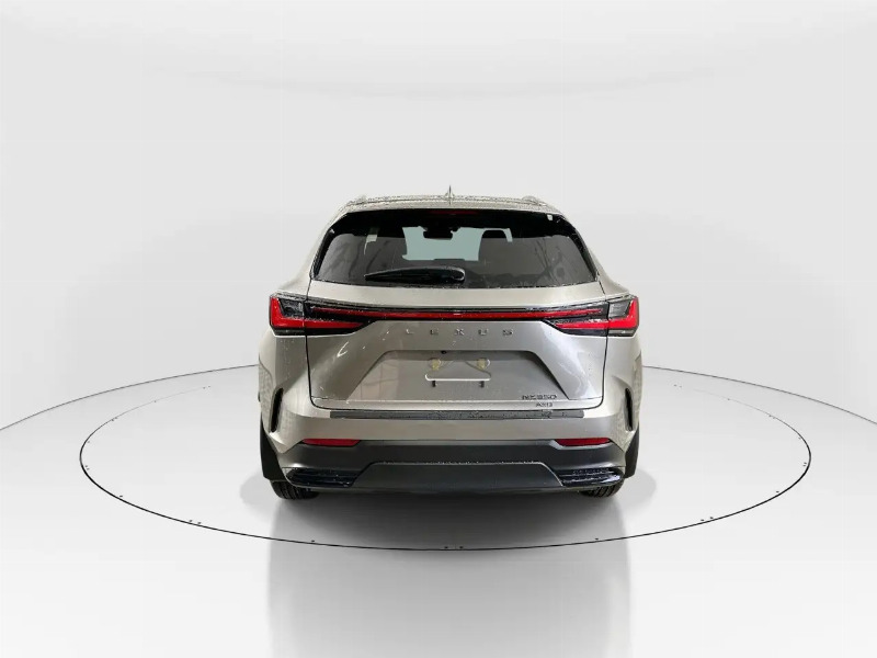 car Lexus NX Series id306045 photo #6
