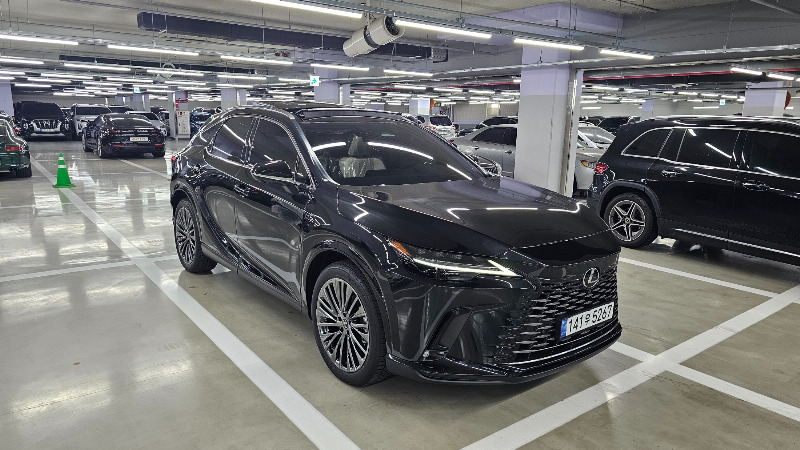 car Lexus RX Series id307039 photo #3
