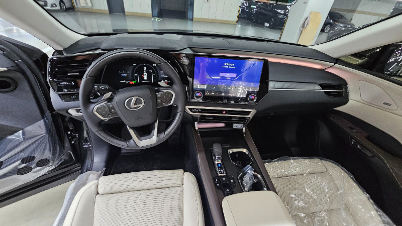 car Lexus RX Series id307039 photo #7
