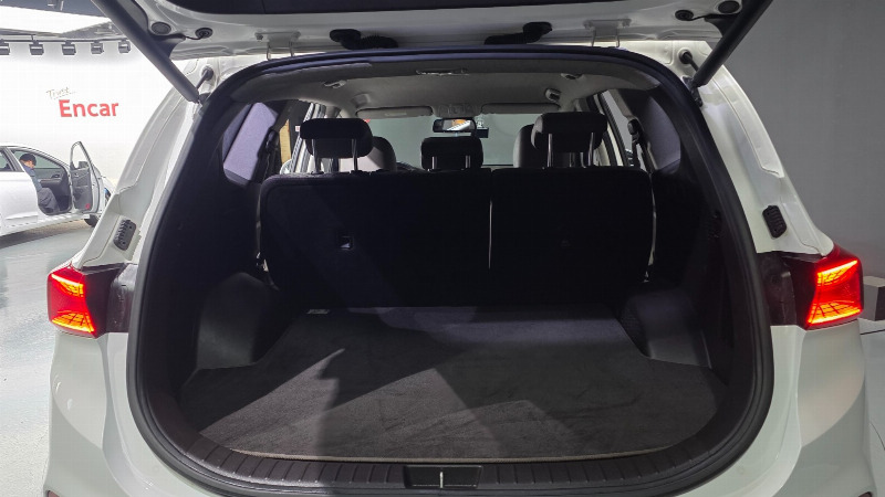 car Hyundai Santa FE id307144 photo #19